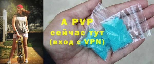 PSILOCYBIN Инта