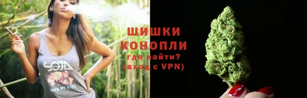 mdpv Иннополис