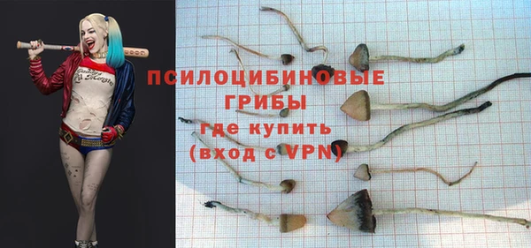 гидропоника Каменногорск