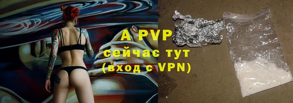 PSILOCYBIN Инта