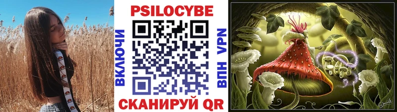 Купить  Кемь  Псилоцибиновые грибы Psilocybine cubensis 